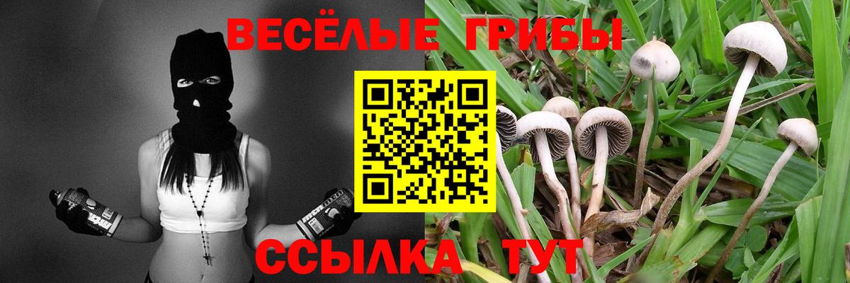 Галлюциногенные грибы прущие грибы  Вход с VPN  Лысьва 